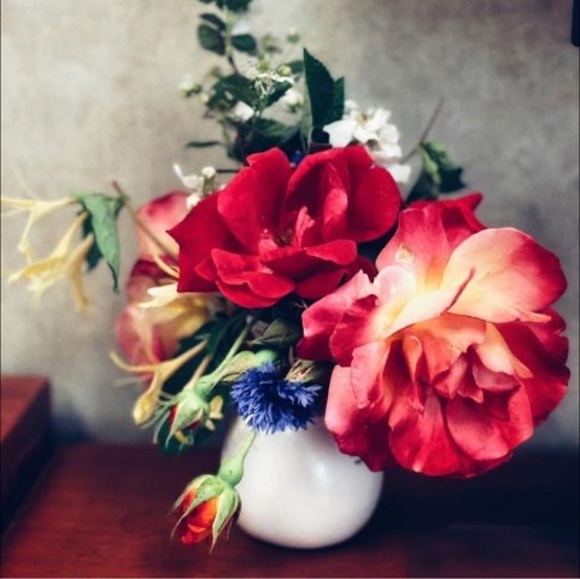 Meet your Posher, Lara - Picture 1 of 1